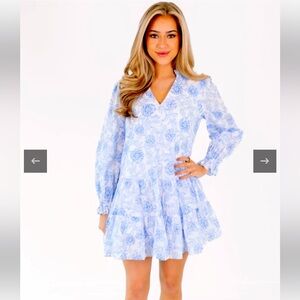 NWT J. Marie Palmer V-Neck long sleeve dress- Blue Floral- Size Small